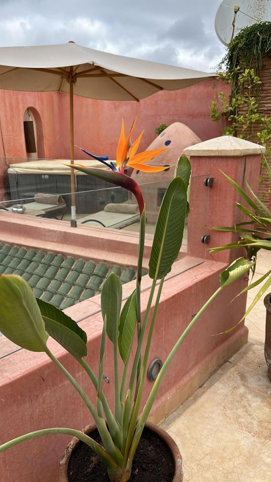 Riad Dar Ten 마라케시 외부 사진